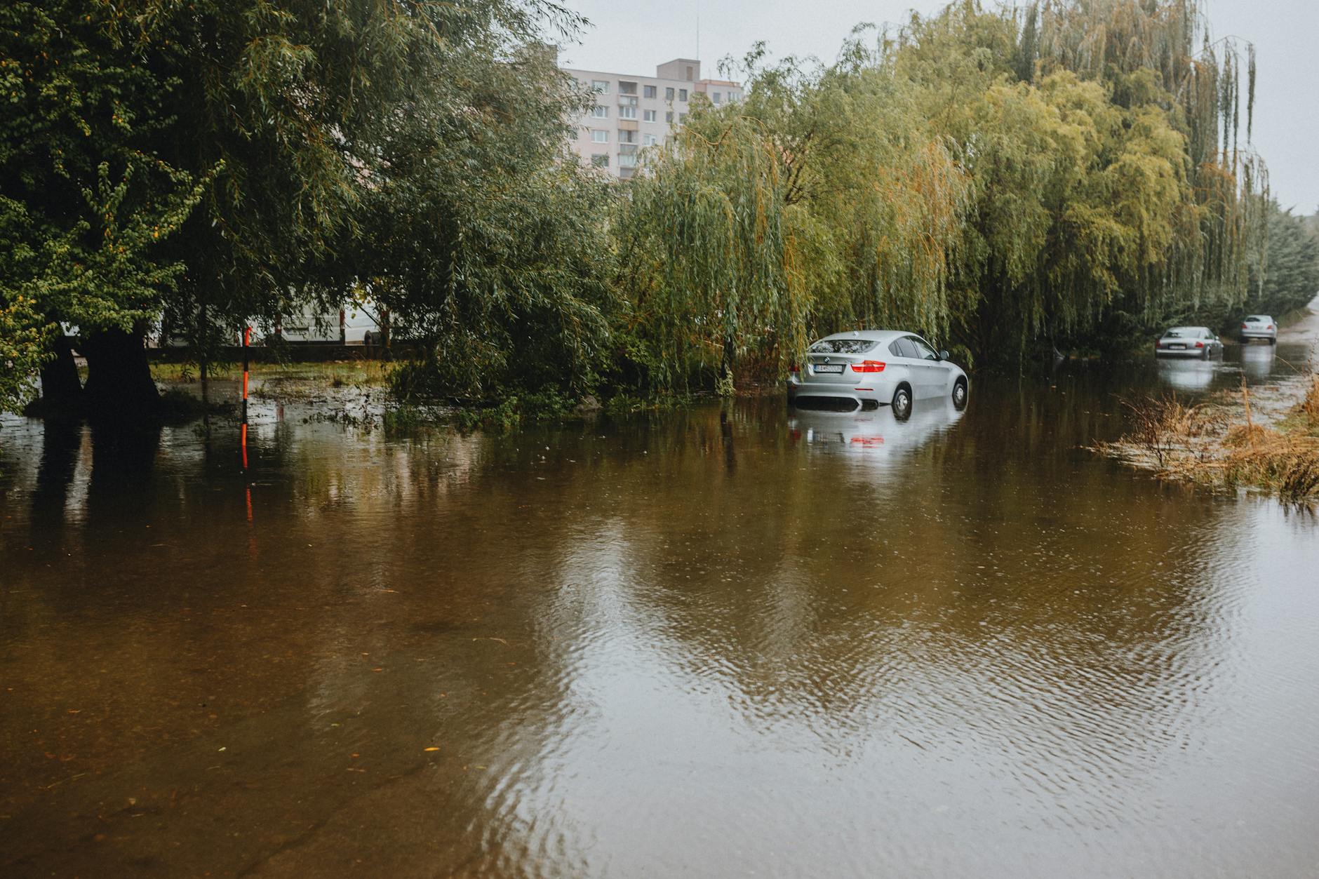 침수차 자차 보험 보상 범위 및 보험 미가입 시 지자체 지원 확인 팁