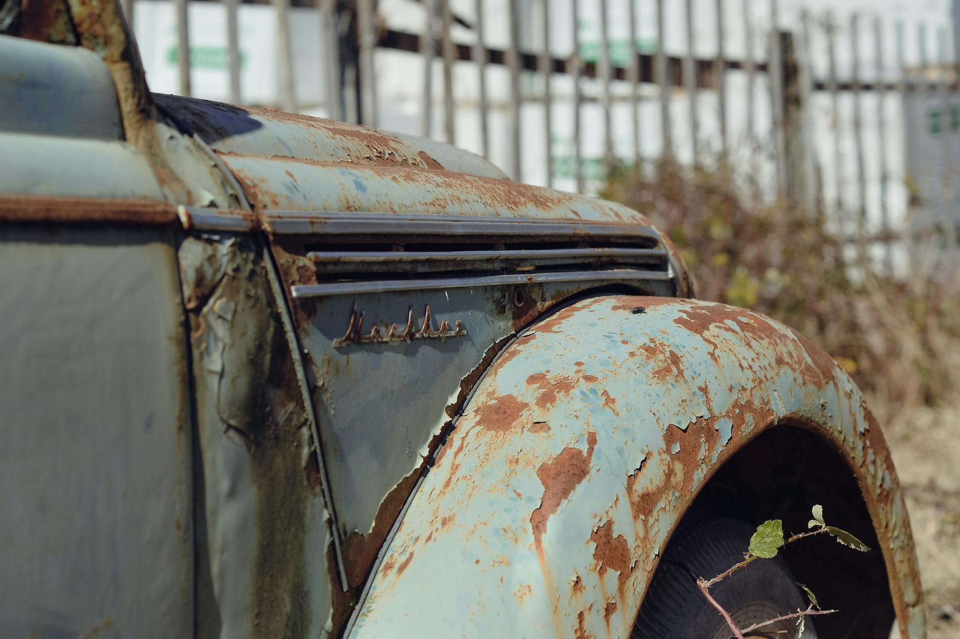 자동차 휀다 부식 녹 제거 셀프 도색 DIY 가이드 및 재발 방지 매뉴얼